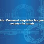 Réponse rapide : Comment empêcher les pommes de terre coupées de brunir